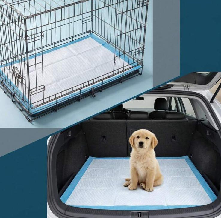 DryPaw Pads L - Traversine Assorbenti per Cani e Gatti 40 pz