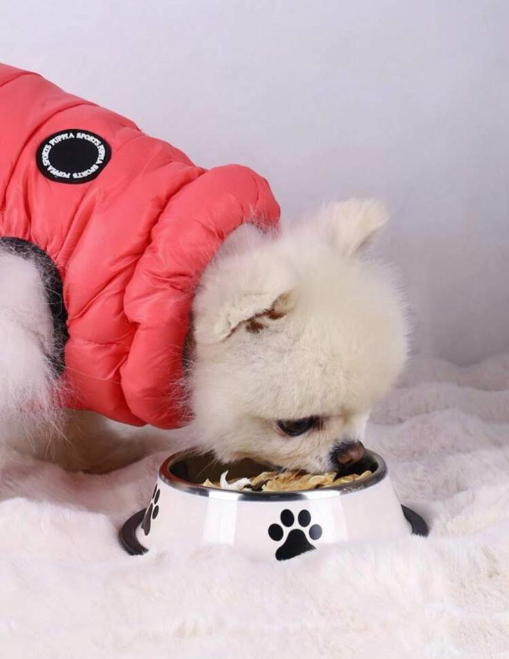 InoxPet Bowl - Ciotola in Acciaio Inox per Cani e Gatti