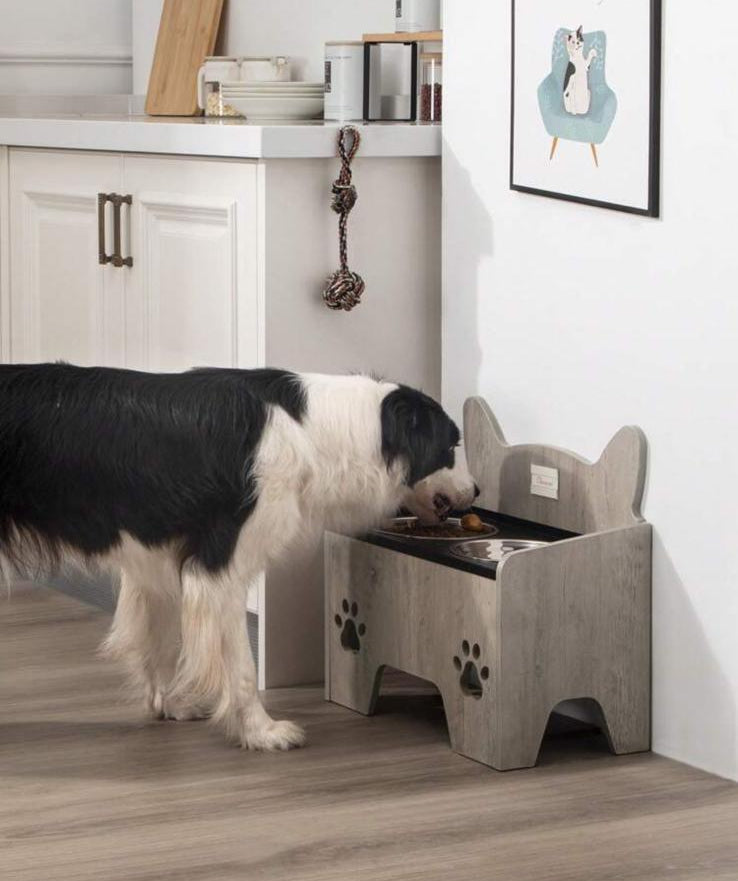 ElevPaw Bowl - Ciotola Rialzata in Legno per Cani con 2 Ciotole Inox