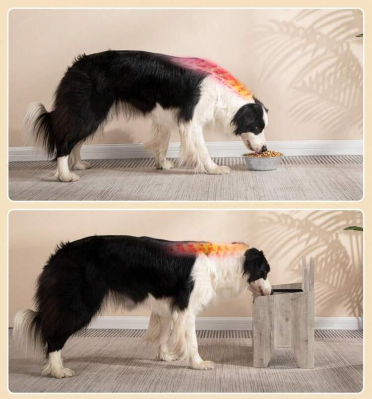 ElevPaw Bowl - Ciotola Rialzata in Legno per Cani con 2 Ciotole Inox