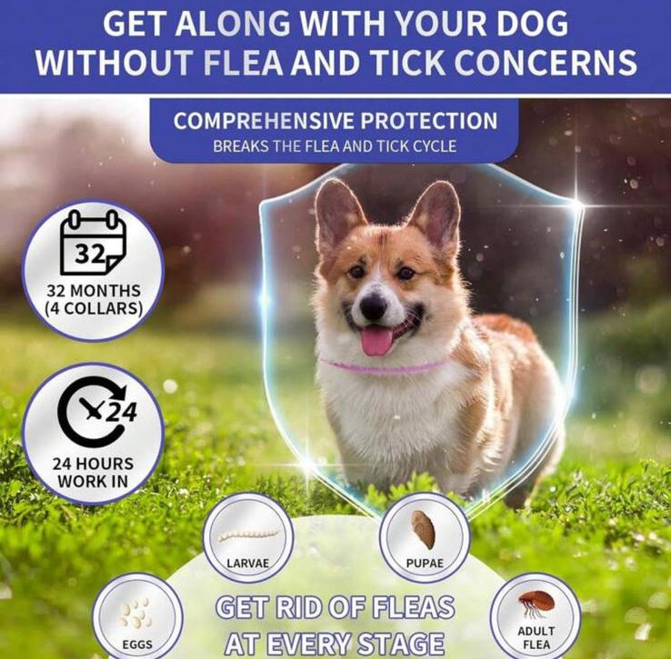 ShieldPaws - Collare Antipulci-zecche per Cani e Gatti