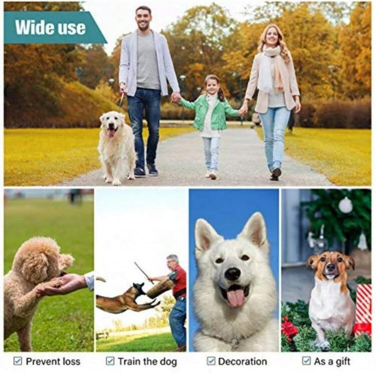 IronPaw Control - Collare a Catena in Acciaio per Cani