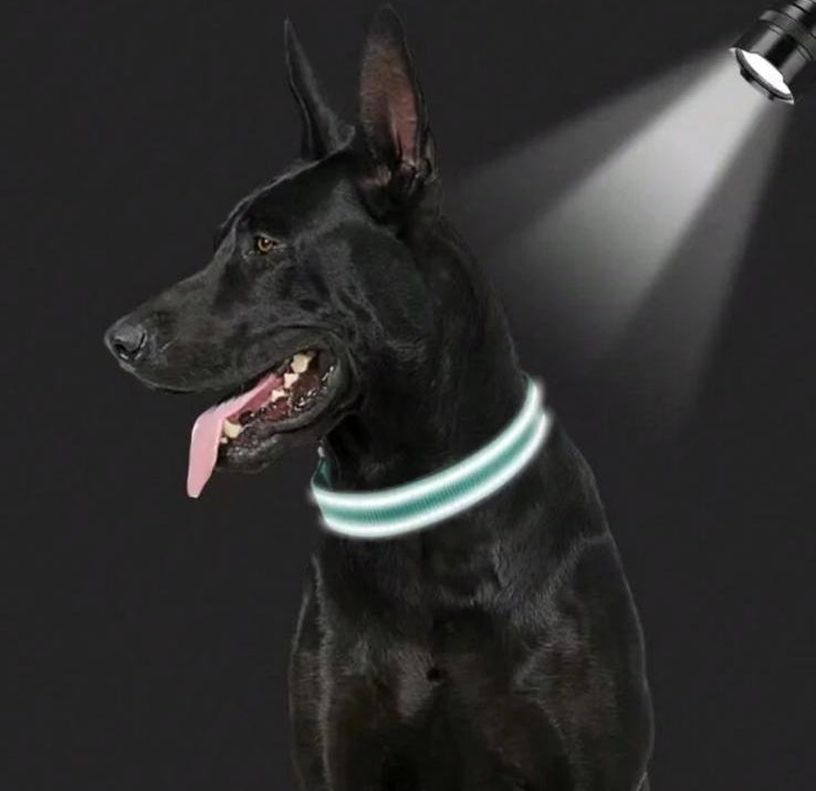 CozyWalk Collar - Collare Riflettente in Nylon per Cani