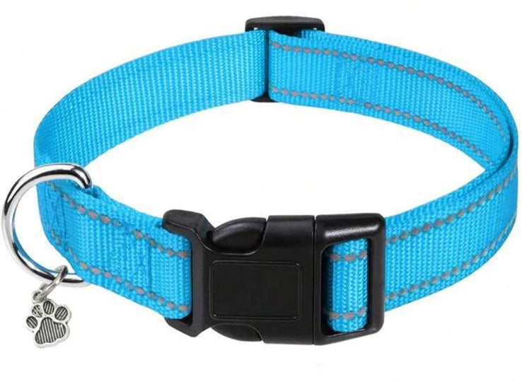 CozyWalk Collar - Collare Riflettente in Nylon per Cani