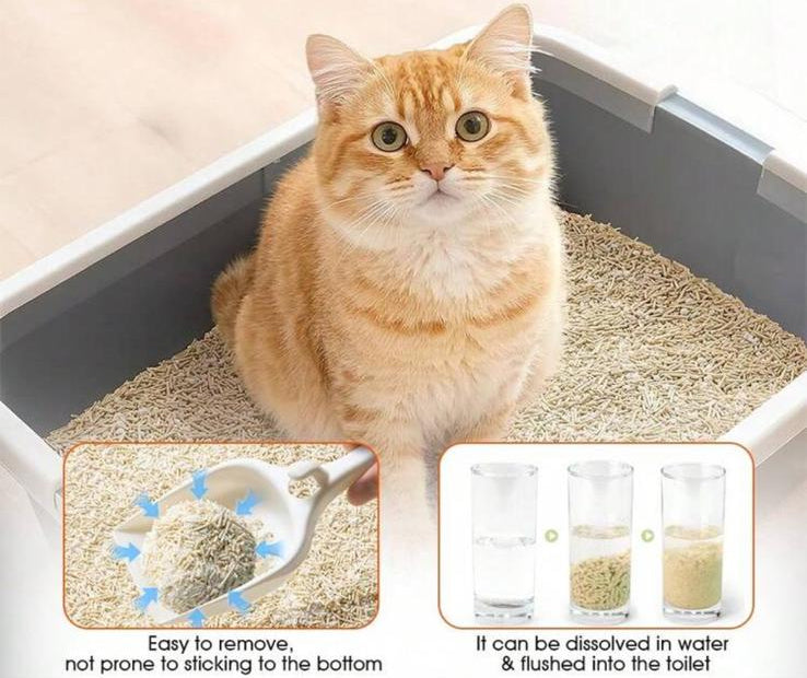TofuLitter Pure - Lettiera al Tofu per Gatti 6L