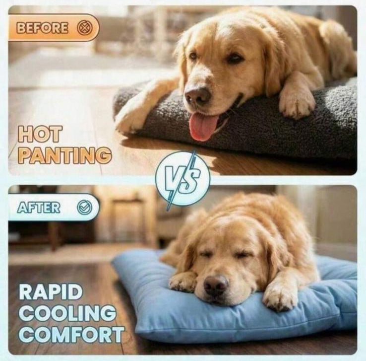 CoolNest Pro - Lettino Rinfrescante Estivo per Cani e Gatti