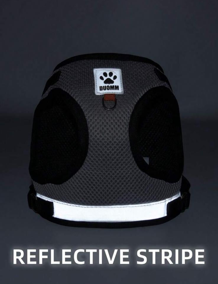 SoftPurr Harness - Pettorina in Mesh Traspirante per Gatti