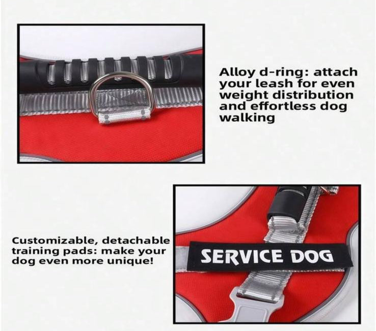 EasyWalk Pet - Pettorina Tattica per Cani con Guinzaglio Incluso
