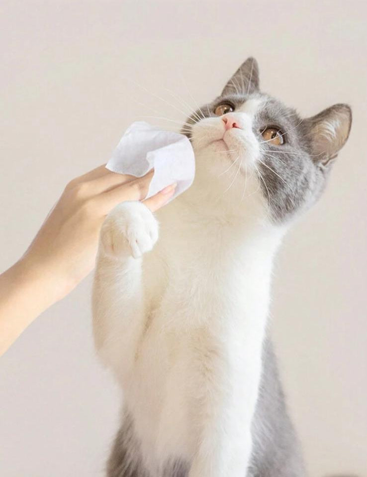 PawWipes Daily Clean - Salviette Quotidiane per Cani e Gatti