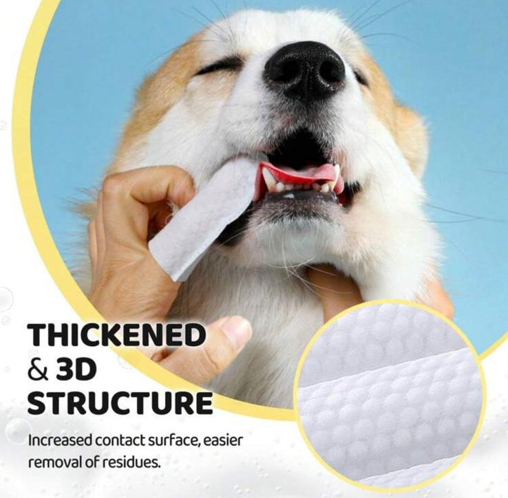 PetCare Duo - Kit Igiene Denti e Orecchie per Cani e Gatti
