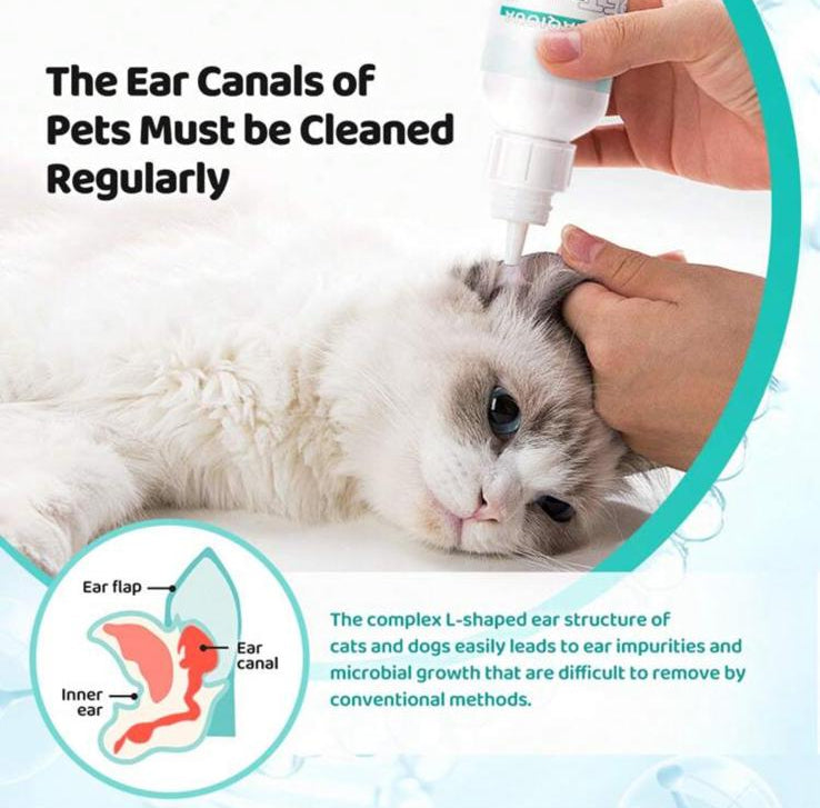 PetCare Duo - Kit Igiene Denti e Orecchie per Cani e Gatti