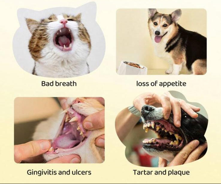 PetCare Duo - Kit Igiene Denti e Orecchie per Cani e Gatti